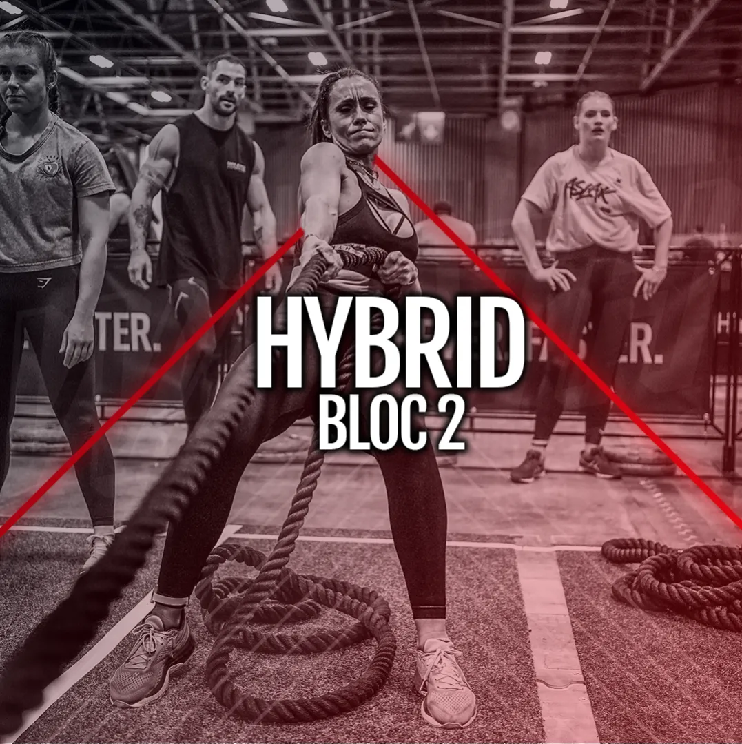 HYBRID - BLOC 2