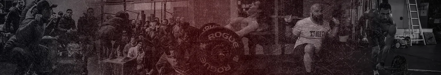 MEMBRES INFÉRIEURS - 2PM