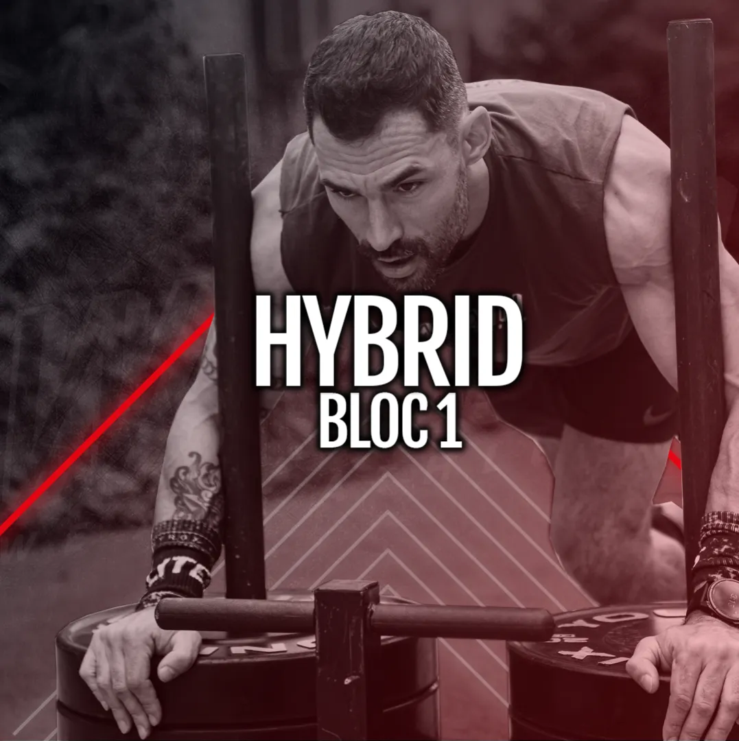 HYBRID - BLOC 1 